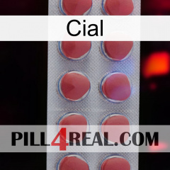 Cial 18